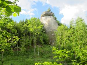 Am Rabenfells bei Auerbach i. d. Opf Am Rabenfells bei Auerbach i. d. Opf