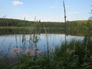 An die Kammerweiher bei Auerbach i. d. Opf An die Kammerweiher bei Auerbach i. d. Opf